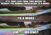 IT'LL TAKE LESS THAN TWO WEEKS TO REDUCE THE HUMAN POPULATION TO A MORE- imgflip.com TO A MORE... UM... MEOW?