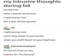 my intrusive thoughts during fall young man there r leaves all around i said young man eat a leaf off the ground r5h i said young man won't they make a cool sound when you stuff! them! in! your! leaf hole infectedmetaphysic it's fun to chew on the Leaves On The Ground!