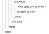 dancybutt: "what state do you live in?" constant anxiety Denial Perfection Florida liquid