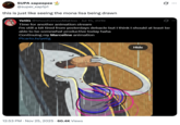 A "tweet":https://knowyourmeme.com/memes/sites/twitter-x about the NSFW Marceline "GIF":https://knowyourmeme.com/memes/cultures/gif in which her boobs inflate.