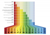 HUMANS PRIMATES ELEPHANTS Complex theory of mind, metacognition Basic theory of mind, more complex and creative behaviour Evidence of self-awareness and behaviours not always linked to survival mechanisms LEVEL 6 Evidence of problem-solving and more complex social behaviour. Likely rudimental understanding of other animals' desires and intentions LEVEL 5 More behavioural flexibility demonstrating tool use and/or language LEVEL 4 Evidence of planning and vicarious learning Greater evidence of social communication and maternal behaviour More complex behaviour suggesting increased sensory awareness LEVEL 1 Survival reflex mechanisms DOLPHINS DOGS PARROTS CEPHALOPODS LEVEL 2 MOST BIRDS LEVEL 3 CARNIVORES SOLITARY HERDING ANIMALS MOST FISH REPTILES MOLLUSCS JELLYFISH LEVEL 7 LEVEL 8 LEVEL 9