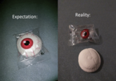Expectation: Reality: