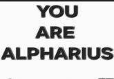 YOU ARE ALPHARIUS maybe omegon
