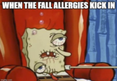 WHEN THE FALL ALLERGIES KICK IN imgflip.com