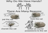 Why Do We Have Hands? ནི་ ༡ There Are Many Reasons: pat the cat hold the cat cherish the cat @topcatto forfeit all mortal possesions to the cat