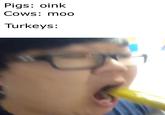Pigs: oink Cows: moo Turkeys: