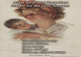 After birth how long does it take for the eyes to open: CDale 11/25 Cows: Immediately Goats: 2 hours Bei Cats: 6 days Dogs: 10 days Humans: After marriage BABY MINE" Philip Boileau 1919