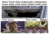 New York City sidewalk collapses, man falls into hole filled with rats The man: The rats: Hello there.