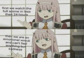 first we watch the full anime in less then 24 hours then we are an emotional wreck and can't feel anything but sadness