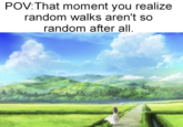 POV: That moment you realize random walks aren't so random after all.