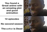 You found a Great anime with an amazing plot and good animation 12 episodes No second season The author is Dead