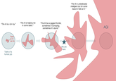 "The Al is helping me " "The Al is a fun toy.' in some tasks." Tasks an Al can do Tasks of a human job "The Al has a jagged frontier, sometimes it's amazing, sometimes it's dumb." We are here "The Al is unbelievably intelligent but for some reason it fails at X." AGI