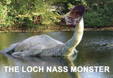 THE LOCH NASS MONSTER