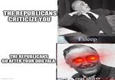 THE REPUBLICANS CRITICIZE YOU THE REPUBLICANS GO AFTER YOUR DOG FALA imgflip.com i sleep real s--- 44