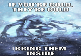 IF YOU'RE COLD, THEY'RE COLD BRING THEM INSIDE