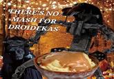 A THERE'S NO MASH FOR DROIDEKAS