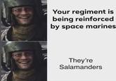 Your regiment is being reinforced by space marines They're Salamanders