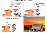 INVENTION OF SELFIE OH i WANNA CAPTURE THIS SUNSET! BUT i ALSO WANT MYSELF IN IT! @THAT DOODLE GUY WAIT A MINUTE... :)