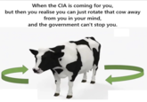 When the CIA is coming for you, but then you realise you can just rotate that cow away from you in your mind, and the government can't stop you. U U