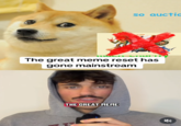 so auctic The great meme reset has gone mainstream THE GREAT MEME K