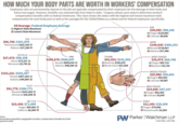 HOW MUCH YOUR BODY PARTS ARE WORTH IN WORKERS' COMPENSATION Employees who are permanently injured on the job are typically compensated by their employers for the damage to their body and future lost wages. However, benefits vary dramatically from state to state. Congress allows each state to determine workers' compensation benefits with no federal minimums. This chart shows the states with the highest and lowest maximum total compensation for each body part as well as the averages for the United States as a whole and for federal employees specifically. US Average | Federal Employee Average O Highest State Maximum O Lowest State Maximum EYE $96,700 $301,870 Pennsylvania $261,525 O Alabama $27,280 0 TESTICLE $27,678 $98,108 Illinois $73,537 O Minnesota $3,750 0 LEG $153,221 $543,367 Nevada $457,418 0 Alabama $44,000 O FOOT $91,779 $386,771 Maryland $251,802 O Minnesota $26,000 O BIG TOE $23,436 $71,694 Oregon $90,402 O California $6,090 O ARM $169,878|$588,647 Nevada $859,634 O Alabama $48,840 O ource: ww.projects.propublica.org/graphics/workers-compensation-benefits-by-limb# pata from 2015) THUMB $42,432 $141,502 O Kentucky $195,670 ORhode Island $13,500 EAR $38,050 $98,108 Oregon $124,991 O Colorado $9,696 HAND $144,930 $460,352 ONevada $738,967 O Alabama $37,400 INDEX FINGER $24,474 $86,788 Oregon $95,723 O Maryland $6,720 MIDDLE FINGER $20,996|$56,601 Oregon $93,063 O Colorado $4,987 RING FINGER $14,660 $47,167 O Oregon $82,420 O Colorado $3,047 PINKY $11,343 $28,300 Oregon $79,959 O Massachusetts $2,065 PW Parker Waichman LLP A NATIONAL LAW FIRM