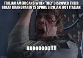 ITALIAN AMERICANS WHEN THEY DISCOVER THEIR GREAT GRANDPARENTS SPOKE SICILIAN, NOT ITALIAN imgflip.com nooooooo!!!!