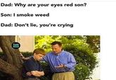 Dad: Why are your eyes red son? Son: I smoke weed Dad: Don't lie, you're crying Code