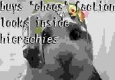 buys "chous" faction looks inside hierachies