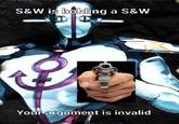 S&W is holding a S&W Your argument is invalid