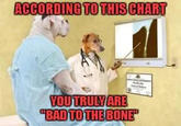 ACCORDING TO THIS CHART YOU TRULY ARE "BAD TO THE BONE™