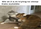 Me at 2 a.m trying to sleep Cats outside: