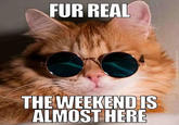 FUR REAL THE WEEKEND IS ALMOST HERE aleitəmɔombing.com