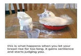 this is what happens when you let your bread rise for too long. it gains sentience and starts judging you.