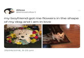 Alissa @alissatolbert my boyfriend got me flowers in the shape of my dog and i am in love 29/09/2018, 8:25 pm