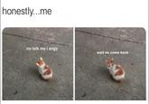 honestly...me no talk me i angy wait no come back