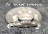 i'm fucken sweepy