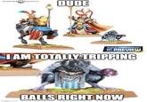 WARHAMMER COMMUNITY DUDE WORLD CHAMPIONSHIPS PREVIEW IAM TOTALLY TRIPPING LIVE! imgflip.com BALLS RIGHT NOW