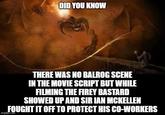 DID YOU KNOW THERE WAS NO BALROG SCENE IN THE MOVIE SCRIPT BUT WHILE FILMING THE FIREY BASTARD SHOWED UP AND SIR IAN MCKELLEN FOUGHT IT OFF TO PROTECT HIS CO-WORKERS imgflip.com