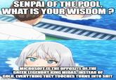 SENPAI OF THE POOL, WHAT IS YOUR WISDOM? MICROSOFT IS THE OPPOSITE OF THE GREEK LEGENDRY KING MIDAS. INSTEAD OF GOLD, EVERYTHING THEY TOUCHES TURNS INTO S--- imgflip.com