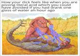 How your d--- feels like when you are pissing literal acid which you could have avoided if you had drank one glass of water an hour ago