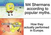ANY GERMAN TANK M4 SHERMAN M4 Shermans according to popular myths. How they actually performed in Europe.