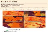 DIRE BEAR Large beast, unaligned Armor Class 12 (natural armor) Hit Points 110 (13d10+39) Speed 40 ft. STR DEX CON INT WIS CHA 19 (+4) 11 (+0) 16 (+3) 5 (-3) 13 (+1) 8 (-1) Those monsters are really scary. ronyoblind Perspective. Especially with those sticks.