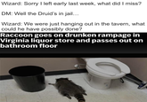 Wizard: Sorry I left early last week, what did I miss? DM: Well the Druid's in jail... Wizard: We were just hanging out in the tavern, what could he have possibly done? Raccoon goes on drunken rampage in Virginia liquor store and passes out on bathroom floor