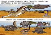 Cómo creen q sería una batalla entre un elefante y un Tyrannosaurus Cómo en realidad sería XDXDXD MOMAZOS MILHOUSE Ya nos cargó OH NO, HERMANO... la chingada Lo que-dijo el de arriba