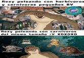 Rexy peleando con herbívoros y carnívoros pequeños BV WHEN DINOSAURS RULED THE EARNE Rexy peleando con carnívoros del mismo tamaño :V XDXDXD When te papean: ¡Eso Spinosaurin! JIJIJI JA ¿Así nos representan? No es posible