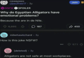 r/dadjokes u/paulfree17 3y 18 NSFW SPOILER Why do Egyptian Alligators have emotional problems? Because the are in de Nile. 6,695 Join 187 450 mikehawkzhard. 3y How is this joke NSFW? [deleted] - 3y Alligators are not safe at most workplaces. 671