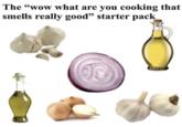 The "wow what are you cooking that smells really good" starter pack