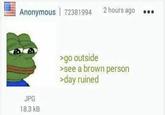 Anonymous 72381994 JPG 18.3 kB 2 hours ago >go outside >see a brown person >day ruined
