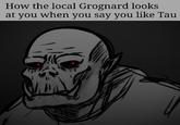 How the local Grognard looks at you when you say you like Tau