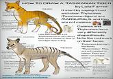 HOW TO DRAW A "TASMANIAN TIGER” the nose was rounder and wider...marsupial shaped. Think koala. the fur is another thing most people get wrong. Thylacines had short/ fur. Australia is a very hot habitat. any animal! for "THE BAD" Thylacines had pouches that took up space on their body. Please stop giving them greyhound torsos. rounded ears... not pointed. The nose is black. Not any other colour. Even futurama makes this mistake often. note the cheekbones that help with the big jaw (with a weak bite!) by Laila Farrell I'll start by saying it loud and clear. Thylacines (Tasmanian tigers) are MARSUPIALS. and they are not canines. i see this mistake a lot. Thylacines have very short feet, more similar to that of a badger than a dog. "THE GOOD" Note the black stripes and the tapered size! They start at the shoulder and end at the tail, with a white saddle underneath. Canines and Thylacines have very differently shaped heads. Note the red mark on their faces. Thylacines belong to the family "Thylacinidae". They are not canines or felines. They are their own unique animal. note the faded beige colour. They were not dark brown or saturated orange, although each one may vary slightly in shade. pay attention to the fingers. OVERALL, i would recommend doing research and using references before drawing blindly. Thylacines had very flexible spines. Their tails? Not to much. Think stiff but still movable... like a whip, ending in a rounded shape (that may or may not have a tuft of fur not unlike a lion.) i forgot to include it in my drawing, but thylacines had a "SLOUCHED posture. Their head hung low in front of them, not up high like your family cat. wolfygirl9 Kornfan.666 Laila Farrell